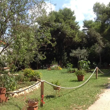 Ecio Διαμέρισμα *