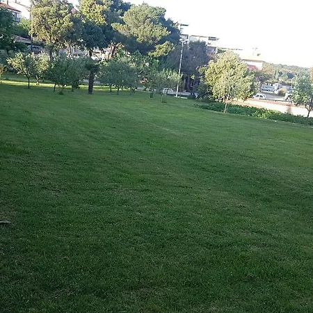Ecio Banjole