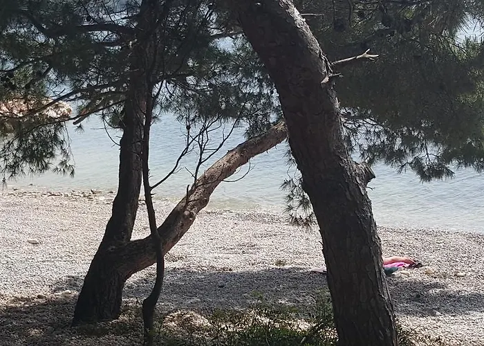 Ecio Lejlighed Banjole